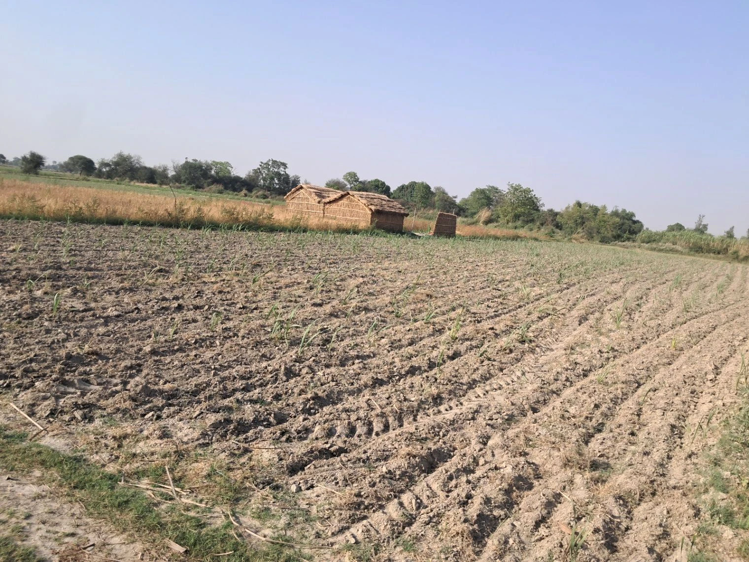 P6RV+2W Mohtarim Pur Uparhar, Uttar Pradesh, India