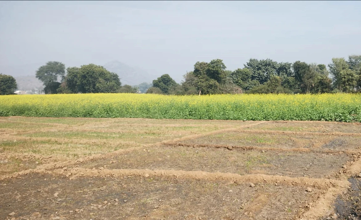 Songir, Indore, Madhya Pradesh, India