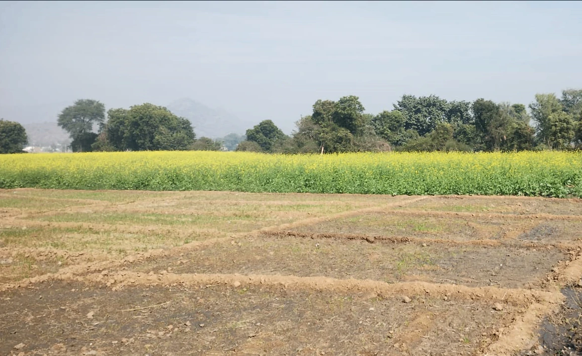 Songir, Indore, Madhya Pradesh, India