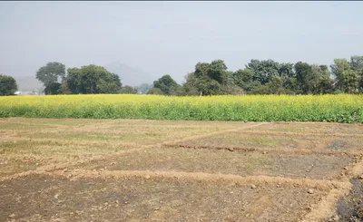 Songir, Indore, Madhya Pradesh, India preview 2