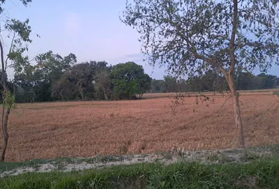 Barnagar, Madhya Pradesh 456771, India preview 3