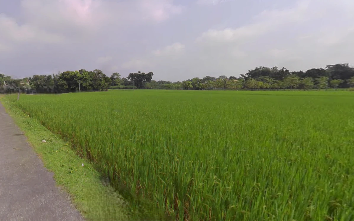 Madanpur Rampur, Odisha 766102, India