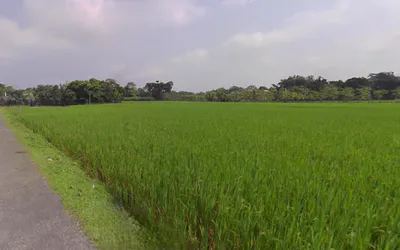 Madanpur Rampur, Odisha 766102, India preview 3