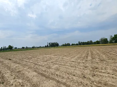 2225+W8, Barabanki, Thakuramau, Uttar Pradesh 225301, India preview 2