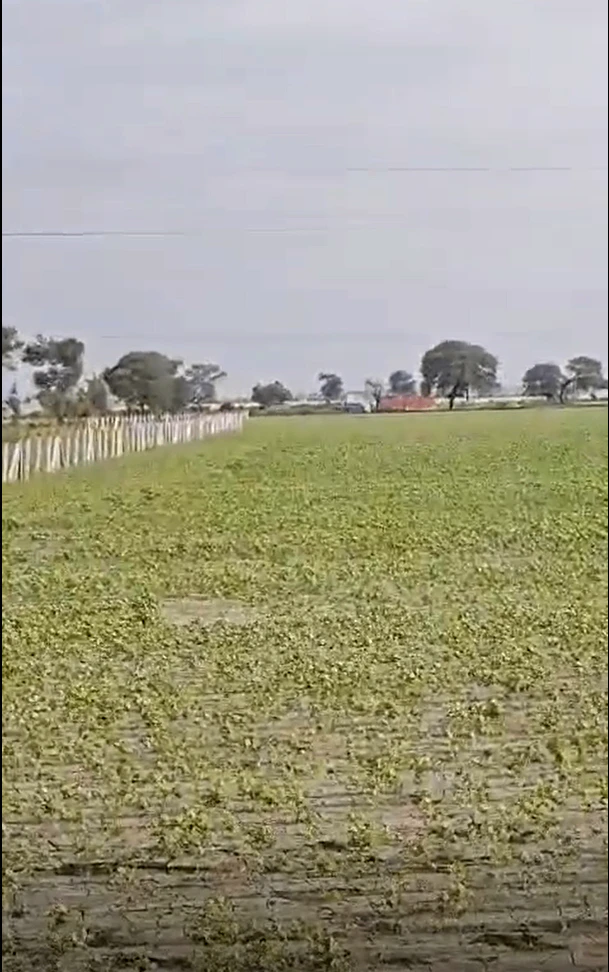 Sarar, Raisen, Madhya Pradesh 464651, India