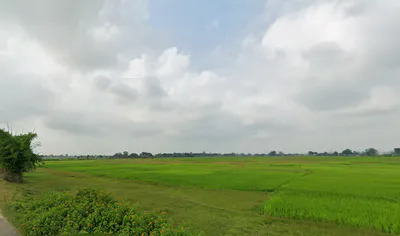 Bhadua, Jharkhand 822115, India preview 2