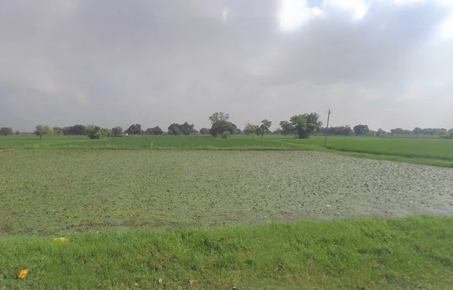 Chhatikara, Uttar Pradesh 281504, India