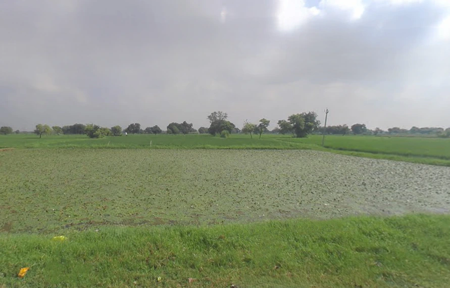 Chhatikara, Uttar Pradesh 281504, India