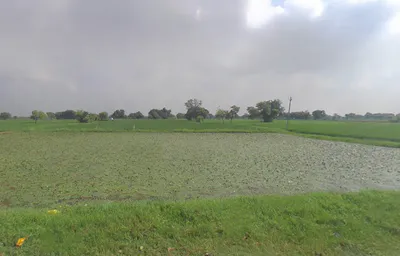 Chhatikara, Uttar Pradesh 281504, India preview 2