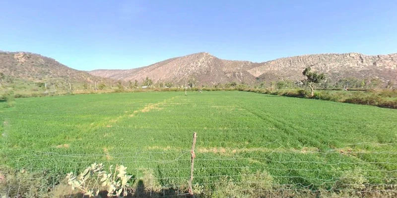 Thanagazi, Rajasthan 301022, India preview 3