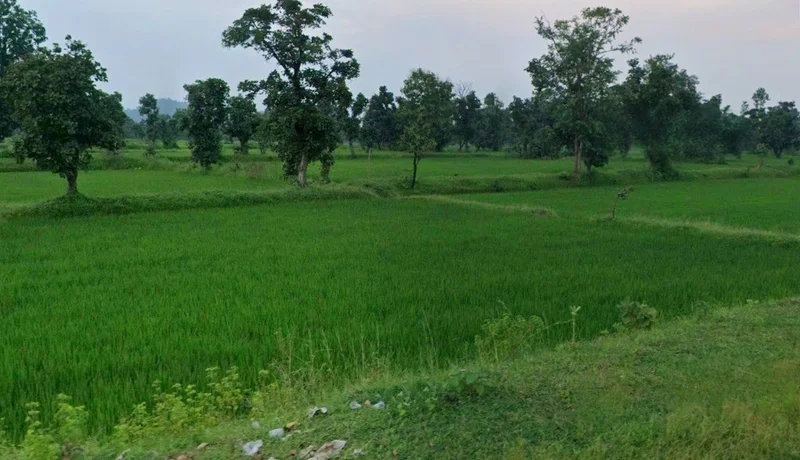 Kurud, Chhattisgarh 493663, India preview 2