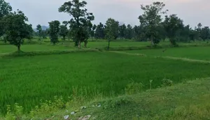 Kurud, Chhattisgarh 493663, India preview 2