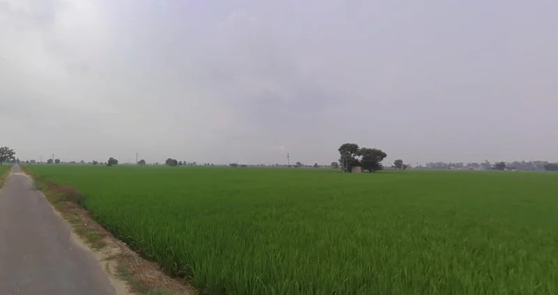 8Q9R+35 Rajkot, Gujarat, India preview 2