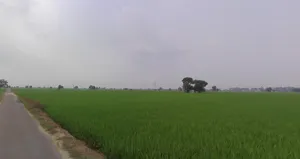 8Q9R+35 Rajkot, Gujarat, India preview 2