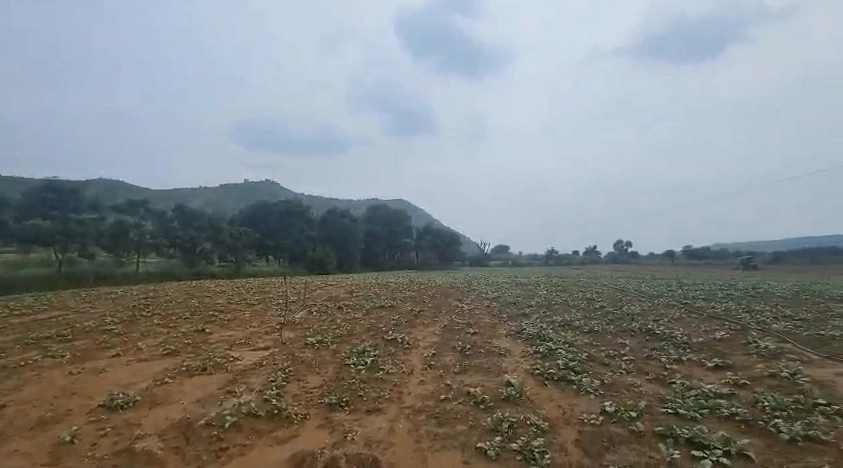 636Q+2X2, Jaipur, Dharawas, Rajasthan 303120, India