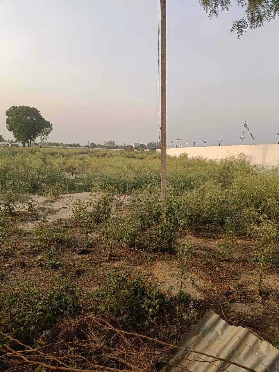 Chandauri, Uttar Pradesh, India preview 3