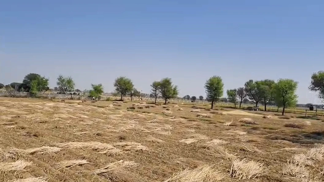GVMQ+MQ9, Ladiyaka, Rajasthan, India
