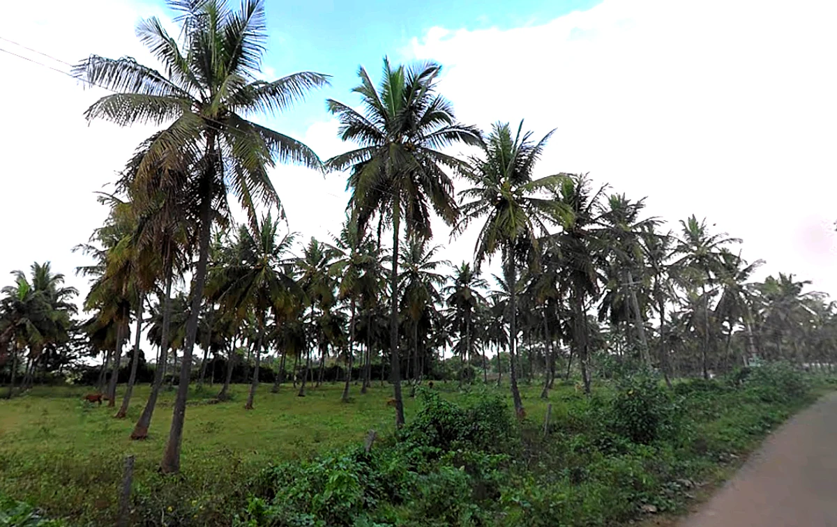 WPPQ+CX, Ballahalli, Karnataka 571109, India