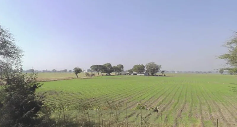 VVM4+5MH, Solsinda, Madhya Pradesh 453551, India preview 2