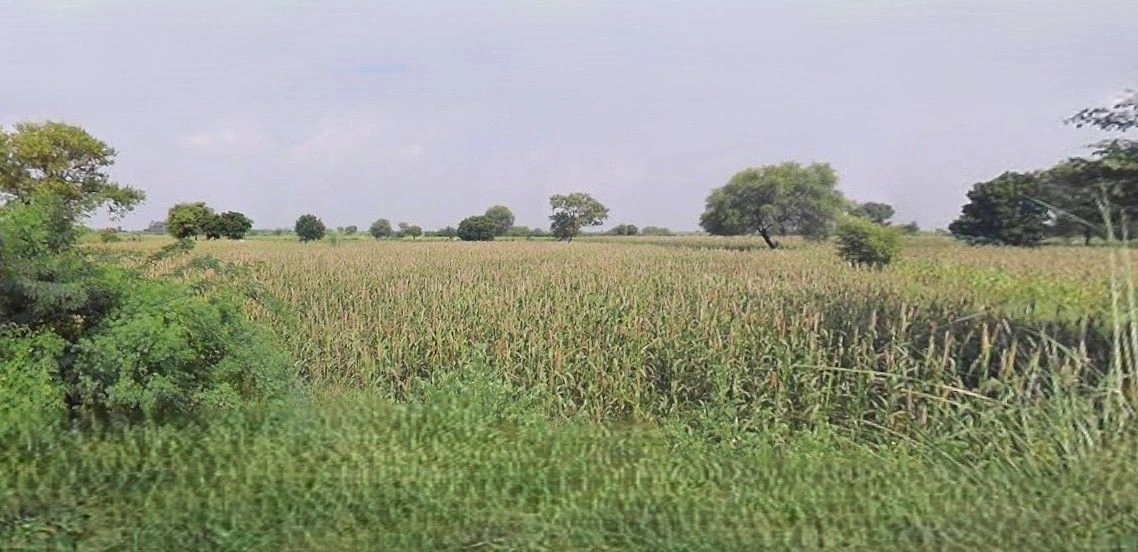Barnagar, Madhya Pradesh 456771, India