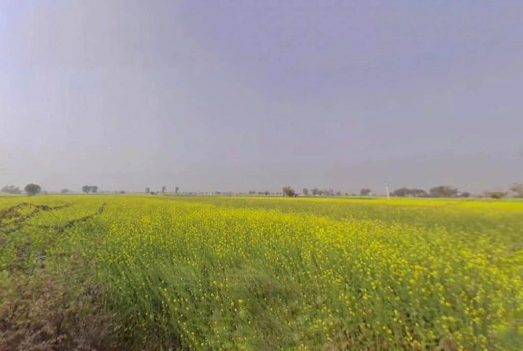 Maujpur, Rajasthan, India
