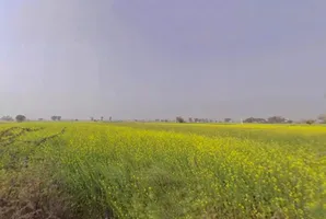 Maujpur, Rajasthan, India preview 2