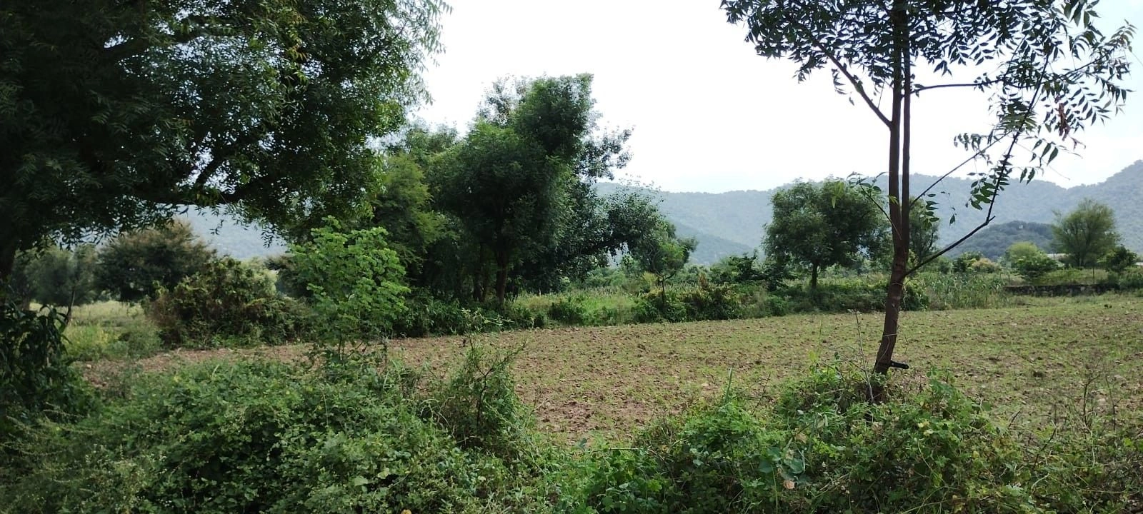Beebanwa, Rajasthan 323001, India preview 2