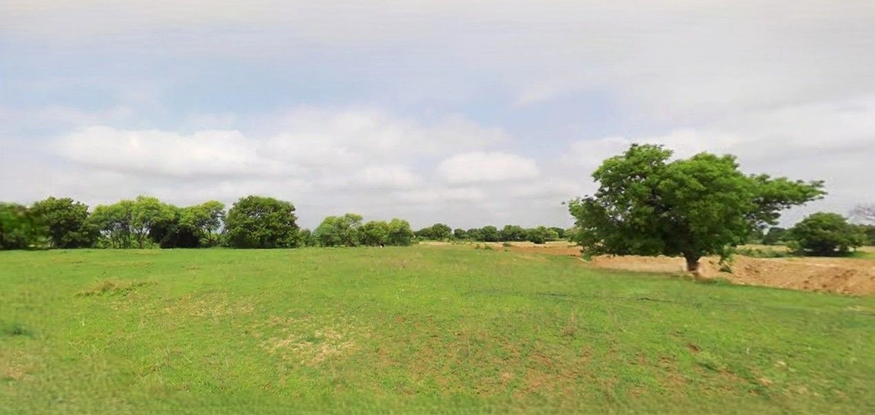 Chandausi, Uttar Pradesh 244412, India