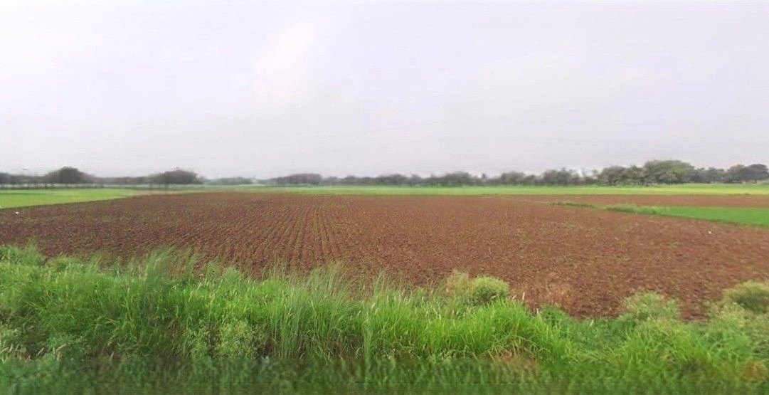 Jansath, Uttar Pradesh 251314, India
