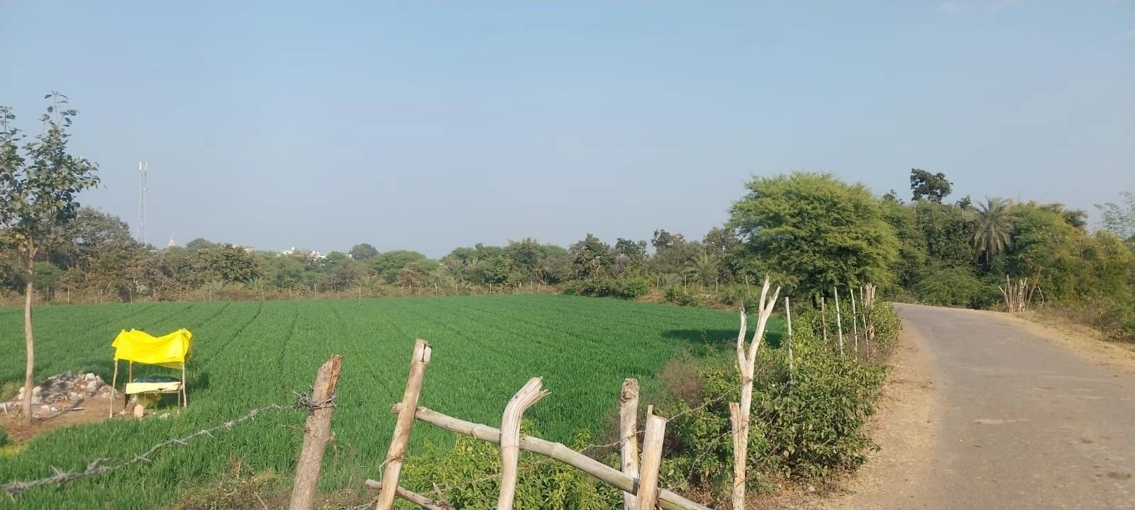 FQMF+55Q, Mandsaur, Khajurna, Madhya Pradesh 458778, India