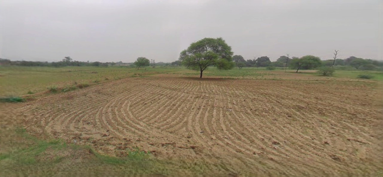 Sonipat, Haryana, India