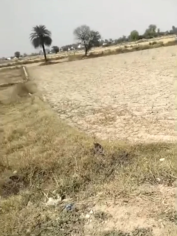 Tappal, Aligarh, Uttar Pradesh 202165, India