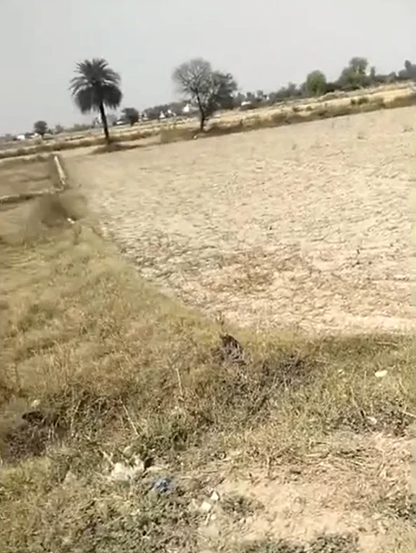 Tappal, Aligarh, Uttar Pradesh 202165, India