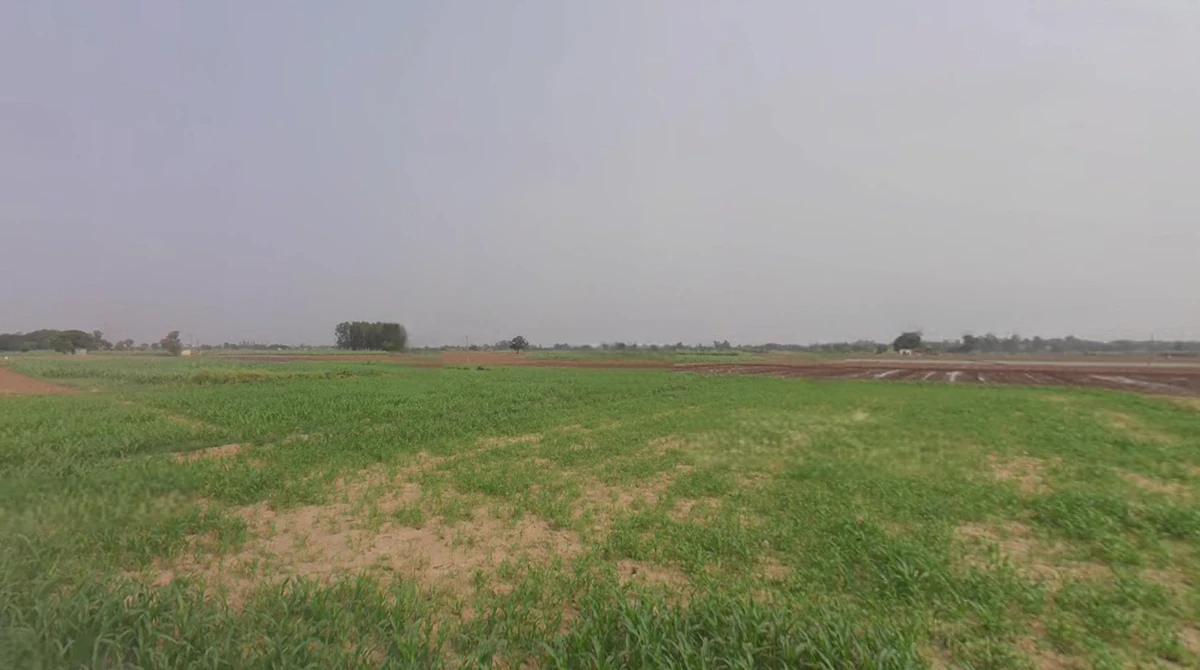 Morinda - Chunni Rd, Bhateri, Punjab, India