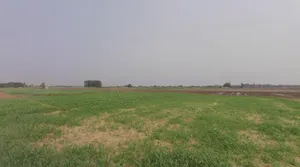 Morinda - Chunni Rd, Bhateri, Punjab, India preview 3