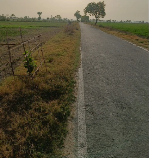 Changori, Chhattisgarh 491001, India