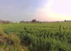 Pali, Rajasthan 301001, India preview 3
