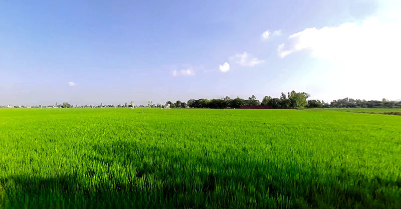 Balbehra, Punjab 147101, India preview 3