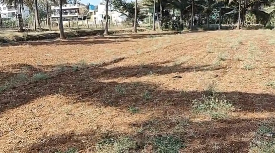 4FGP+G59, Tirumalapura, Bengaluru, Karnataka 560089, India preview 3