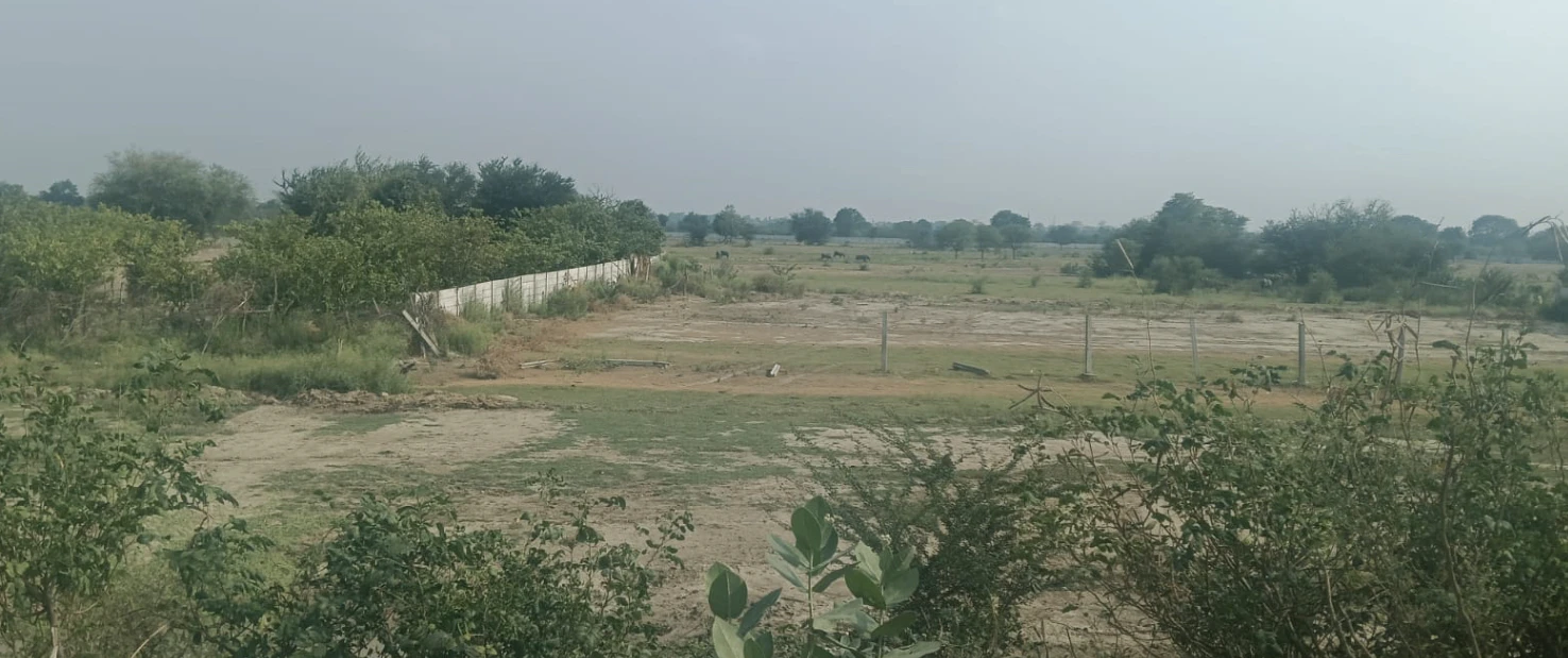 Behram, Punjab 144504, India