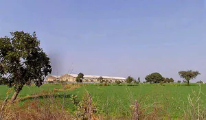 96MW+X7G, Suwarkota, Madhya Pradesh 465001, India preview 2