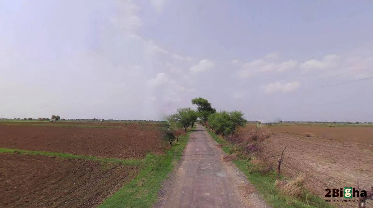 Jhajjar, Haryana 124103, India