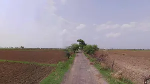 Jhajjar, Haryana 124103, India preview 2
