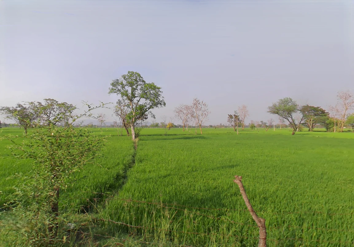 Bhumiya, Chhattisgarh 493221, India