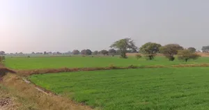 Pithampur, Madhya Pradesh 454331, India preview 3