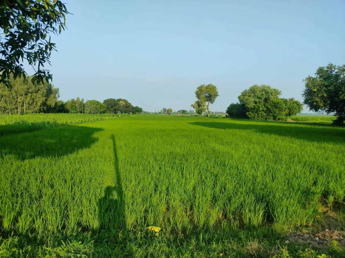 Madhotanda, Uttar Pradesh 262122, India