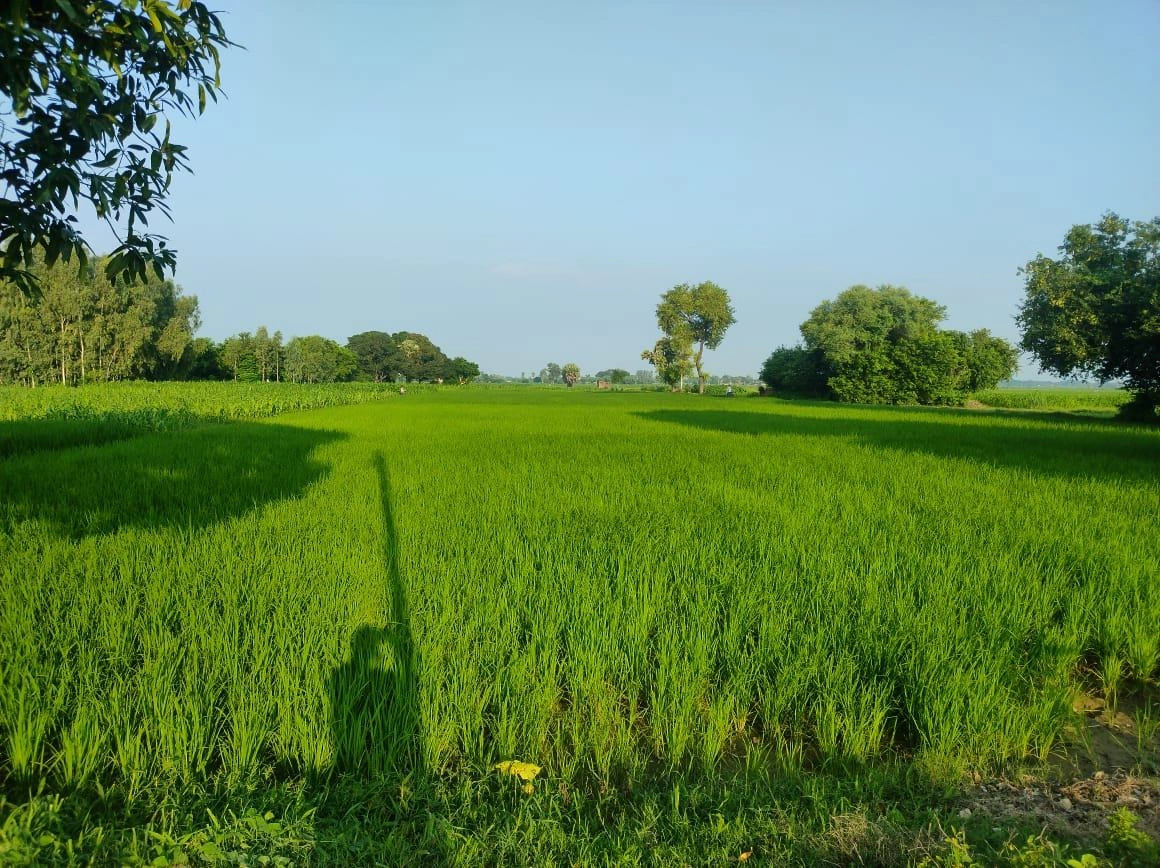 Madhotanda, Uttar Pradesh 262122, India