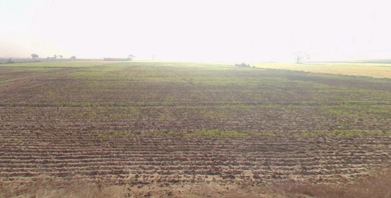 Gijarod, Haryana 124103, India preview 3