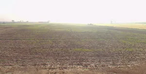 Gijarod, Haryana 124103, India preview 3