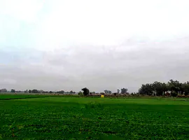 XGJ2+P2C, Bassi Naaga, Rajasthan 303124, India preview 2